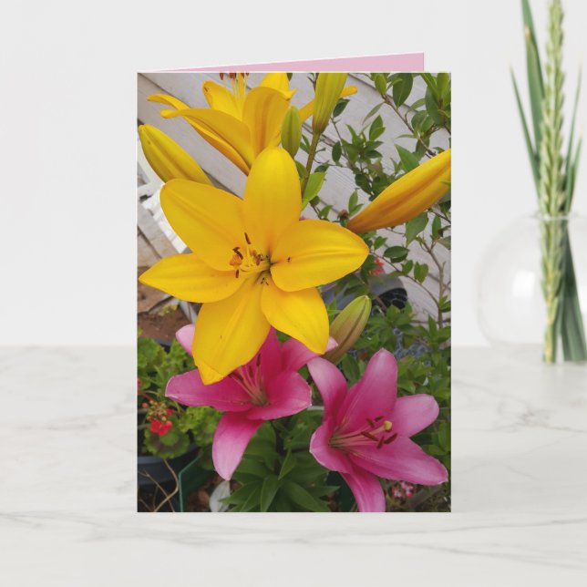 Colourful Pink Lily floral Flower Photo Card (Front)