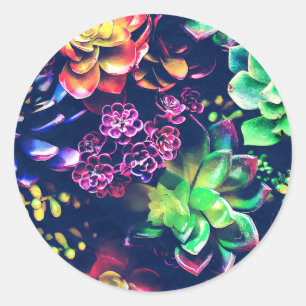 Colourful Plants Classic Round Sticker