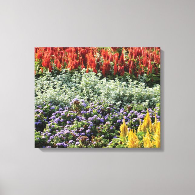 Colourful Plants Photo Wrapped Canvas Print (Front)