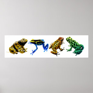 Colourful Poison Frogs Print
