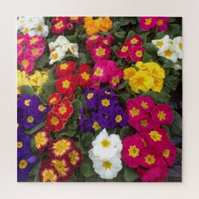 Colourful Polyanthus, Primrose Flower Jigsaw Puzzle (Vertical)