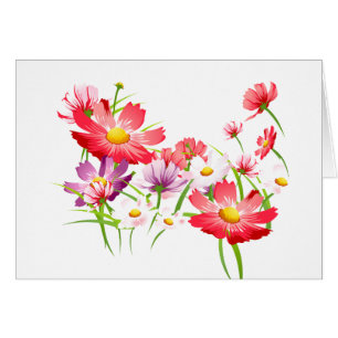 Colourful Poppies