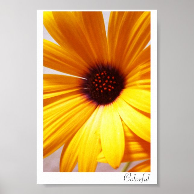 Colourful Poster (Front)