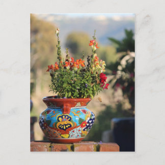 Colourful Pottery with Flowers [Still Life] Postcard