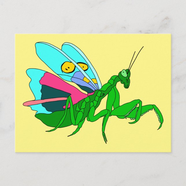 Colourful Praying Mantis Postcard (Front)