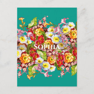 Colourful Primroses Cute Floral Spring Personalize Postcard