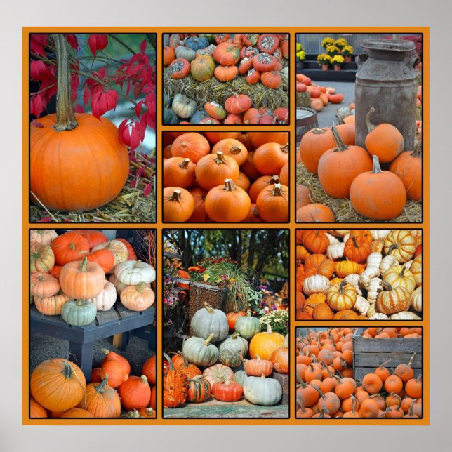 Colourful pumpkin collage poster (Front)