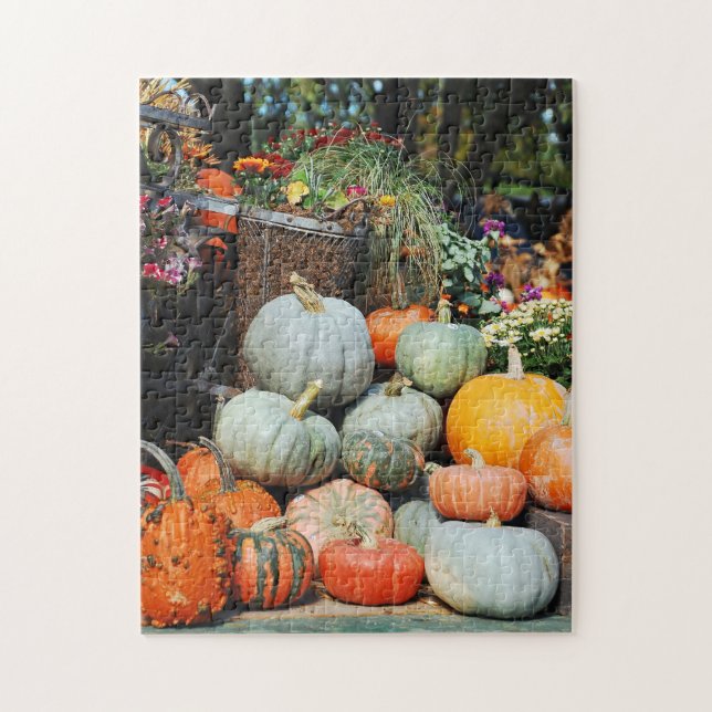 Colourful pumpkin decorative display puzzle (Vertical)