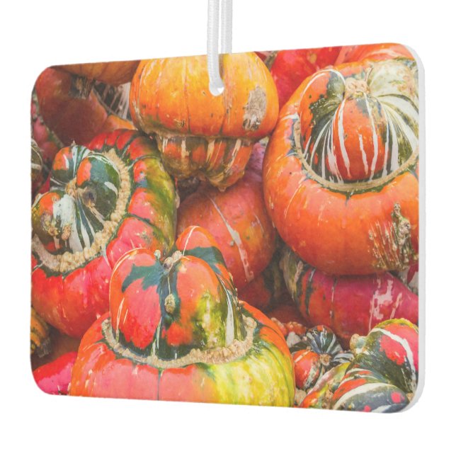 Colourful pumpkins air freshener (Left)