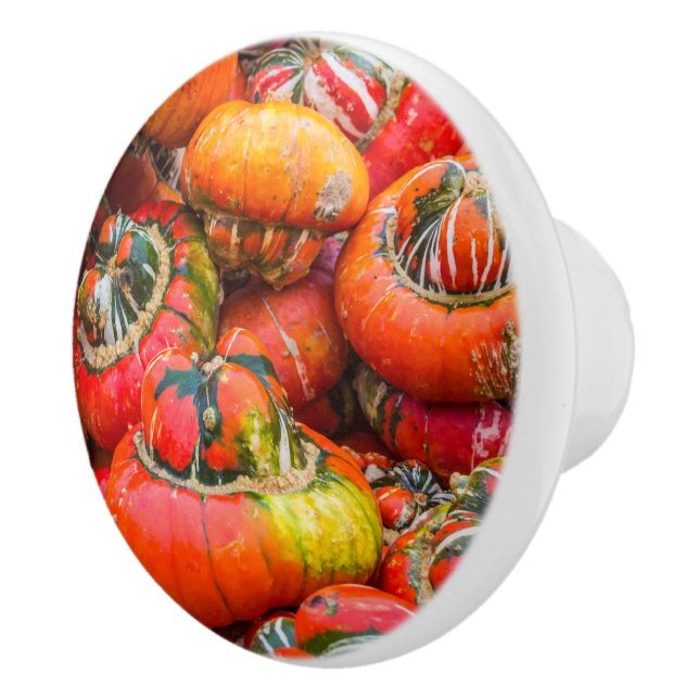 Colourful pumpkins ceramic knob (Right)