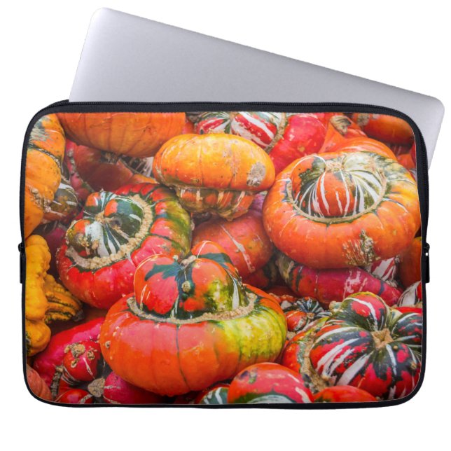 Colourful pumpkins laptop sleeve (Front)