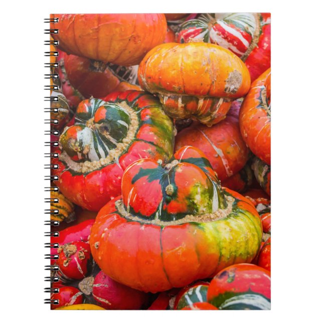 Colourful pumpkins notebook (Front)