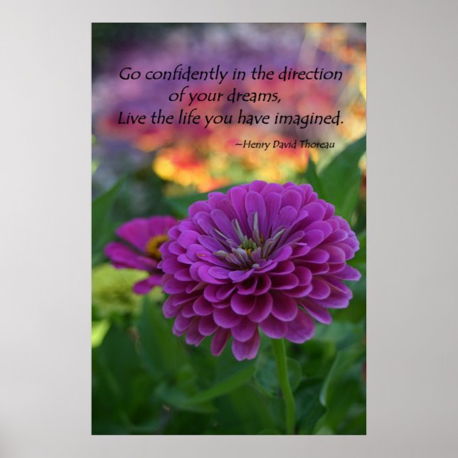 Colourful Purple zinnia flower inspirational quote Poster (Front)