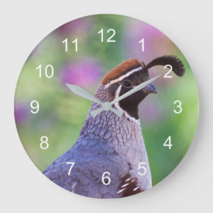 Colourful Quail Large Clock