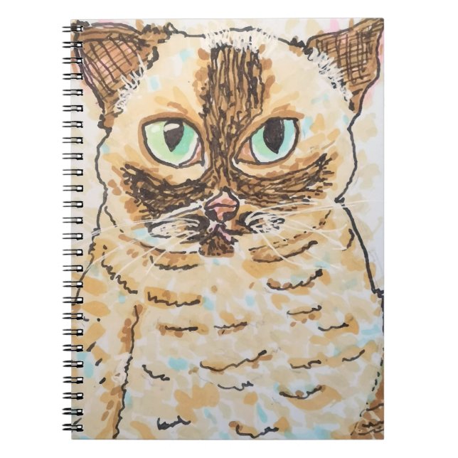 Colourful Quirky Cat Portrait Notebook (Front)
