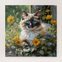 Colourful Ragdoll Cat, Fun and Challenging