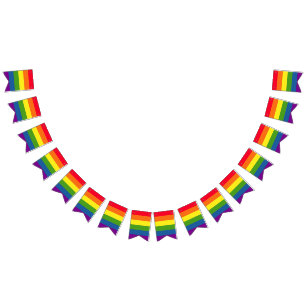 Colourful Rainbow Flag Gay Pride