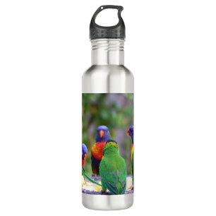 Colourful Rainbow Lorikeet Parrots Eating 710 Ml Water Bottle