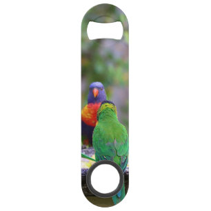 Colourful Rainbow Lorikeet Parrots Eating Bar Key