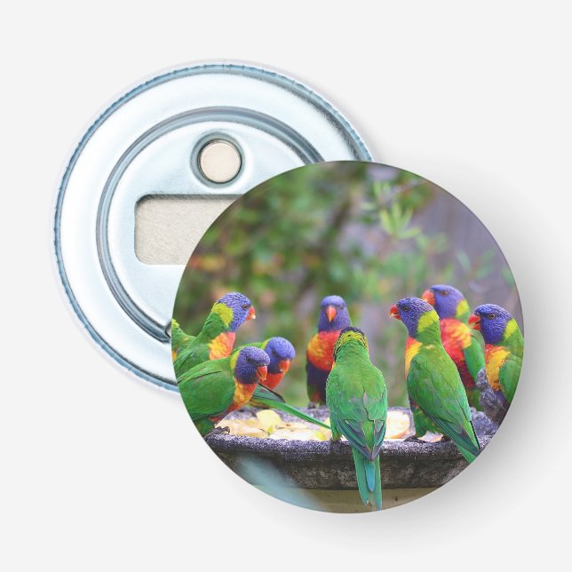 Colourful Rainbow Lorikeet Parrots Eating Bottle Opener (Front)