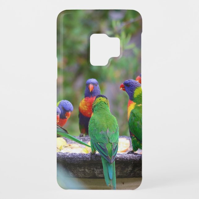 Colourful Rainbow Lorikeet Parrots Eating Case-Mate Samsung Galaxy Case (Back)