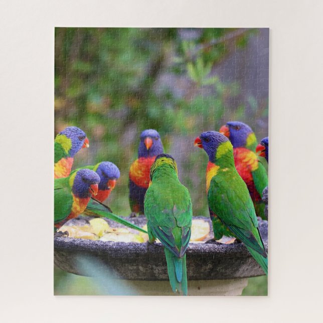 Colourful Rainbow Lorikeet Parrots Eating Jigsaw Puzzle (Vertical)