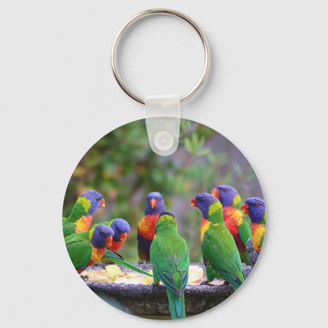 Colourful Rainbow Lorikeet Parrots Eating Keychain (Front)