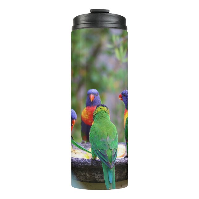 Colourful Rainbow Lorikeet Parrots Eating Thermal Tumbler (Front)