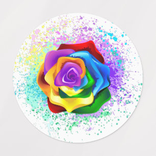 Colourful Rainbow Rose