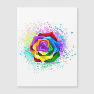 Colourful Rainbow Rose