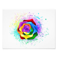 Colourful Rainbow Rose