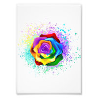 Colourful Rainbow Rose