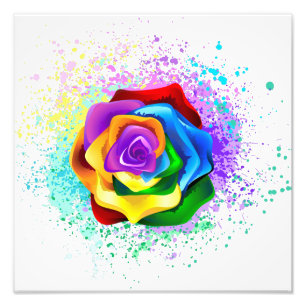 Colourful Rainbow Rose Photo Print