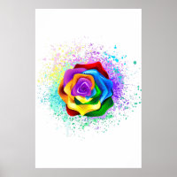 Colourful Rainbow Rose