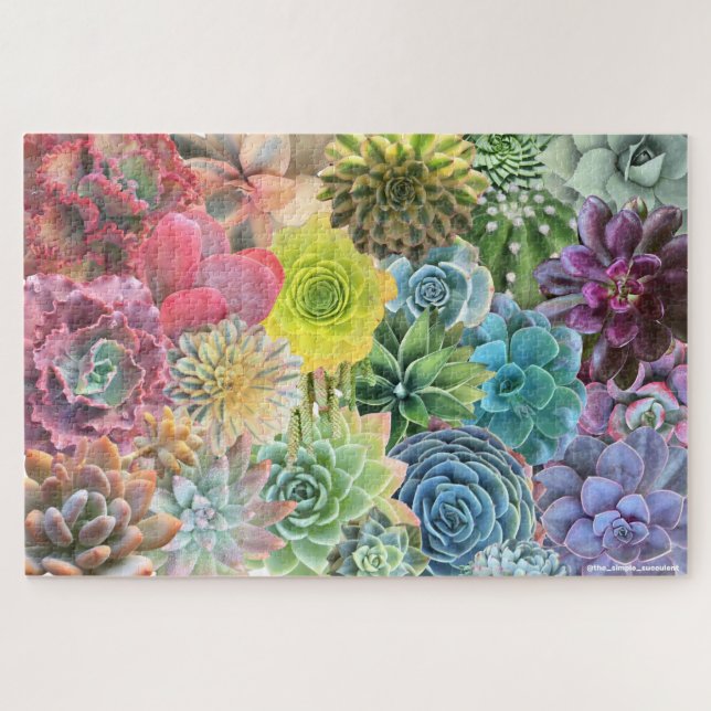 Colourful Rainbow Succulent Puzzle (Horizontal)