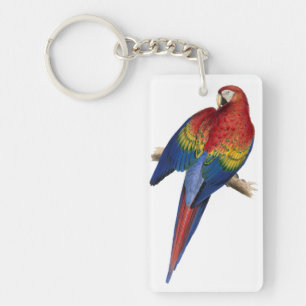 Colourful Red and Yellow Macaw Keychain