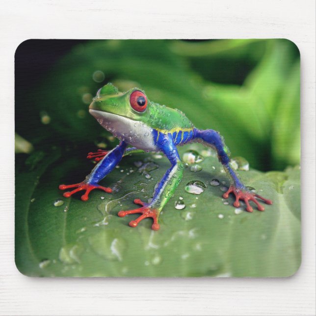Colourful Red Eye Tree Frog on Plant Leaves Mouse Pad (Front)