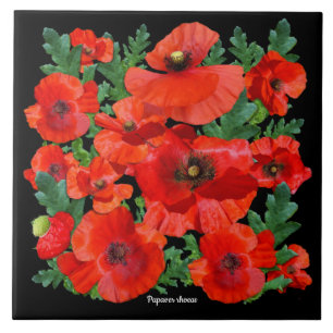 Colourful Red Poppies Tile