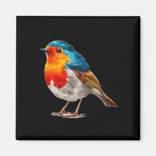 Colourful Robin Costume for Birds and Feather Magnet