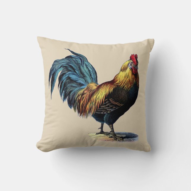 Colourful Rooster Country Chicken Vintage Picture Throw Pillow (Front)