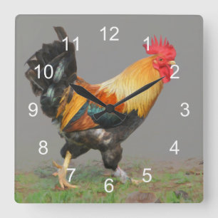 Colourful Rooster, Nature's Alarm Square Wall Clock