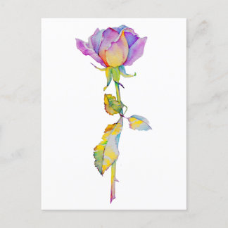 Colourful Rose Anytime Card