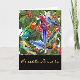 Colourful Rosella Parrots Card