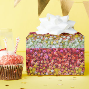 Colourful Roses and Chrysanthemums Floral Gradient Wrapping Paper