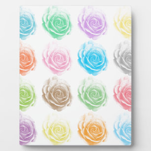 Colourful roses pattern plaque