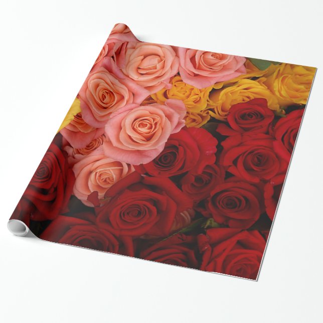 Colourful Roses Wrapping Paper (Unrolled)