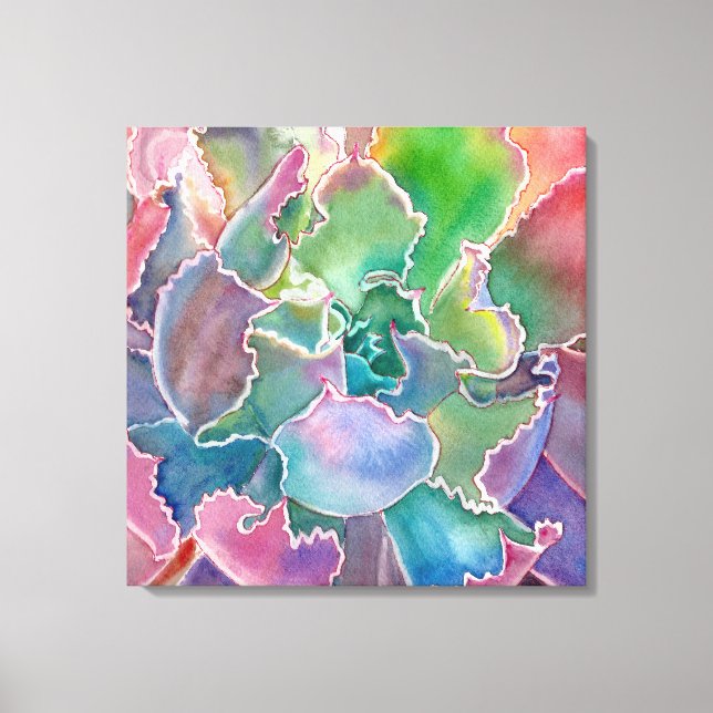 Colourful rosette succulent watercolor canvas print (Front)