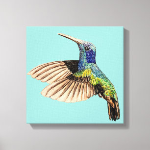 Colourful Ruby Toned Realistic Hummingbird Paintin Canvas Print