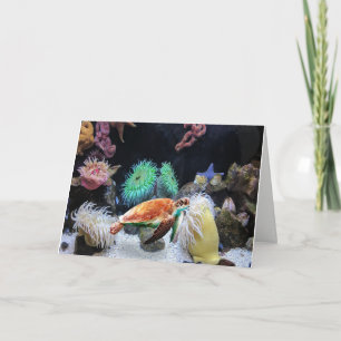 Colourful Sea life Note Card