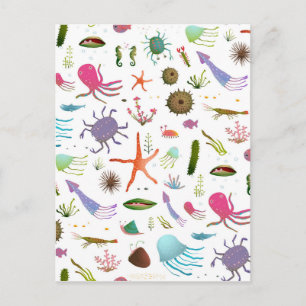 Colourful Sea Life Postcard
